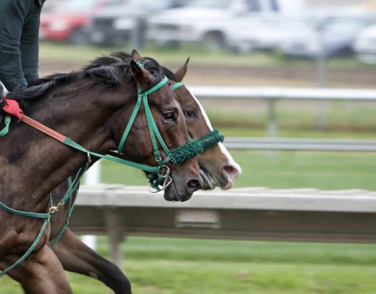 RaceBets